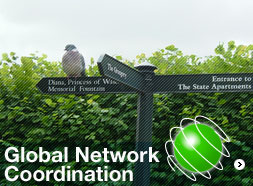 Global Network Coordination